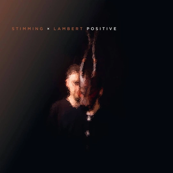 STIMMING X LAMBERT Positive 2LP